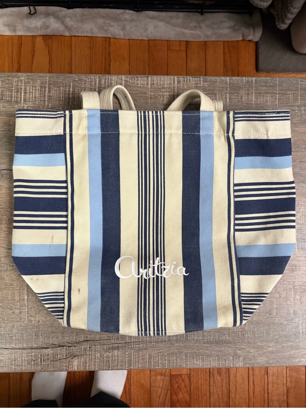Aritzia Striped Canvas Tote Bag